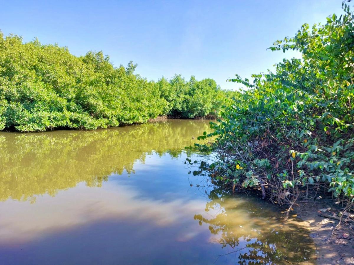 Mangrove Beach Sanyang Exteriör bild