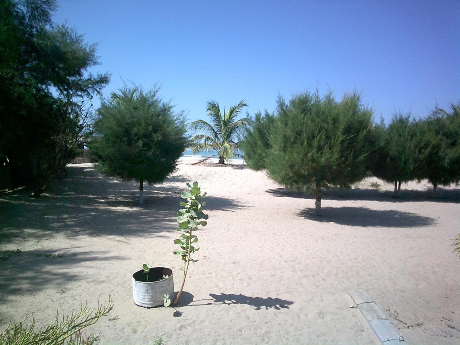 Mangrove Beach Sanyang Exteriör bild