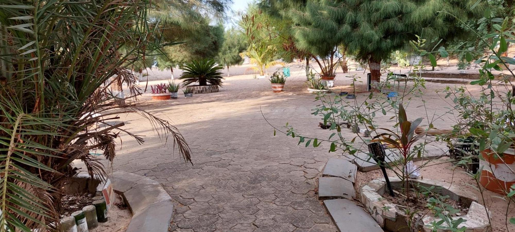 Mangrove Beach Sanyang Exteriör bild