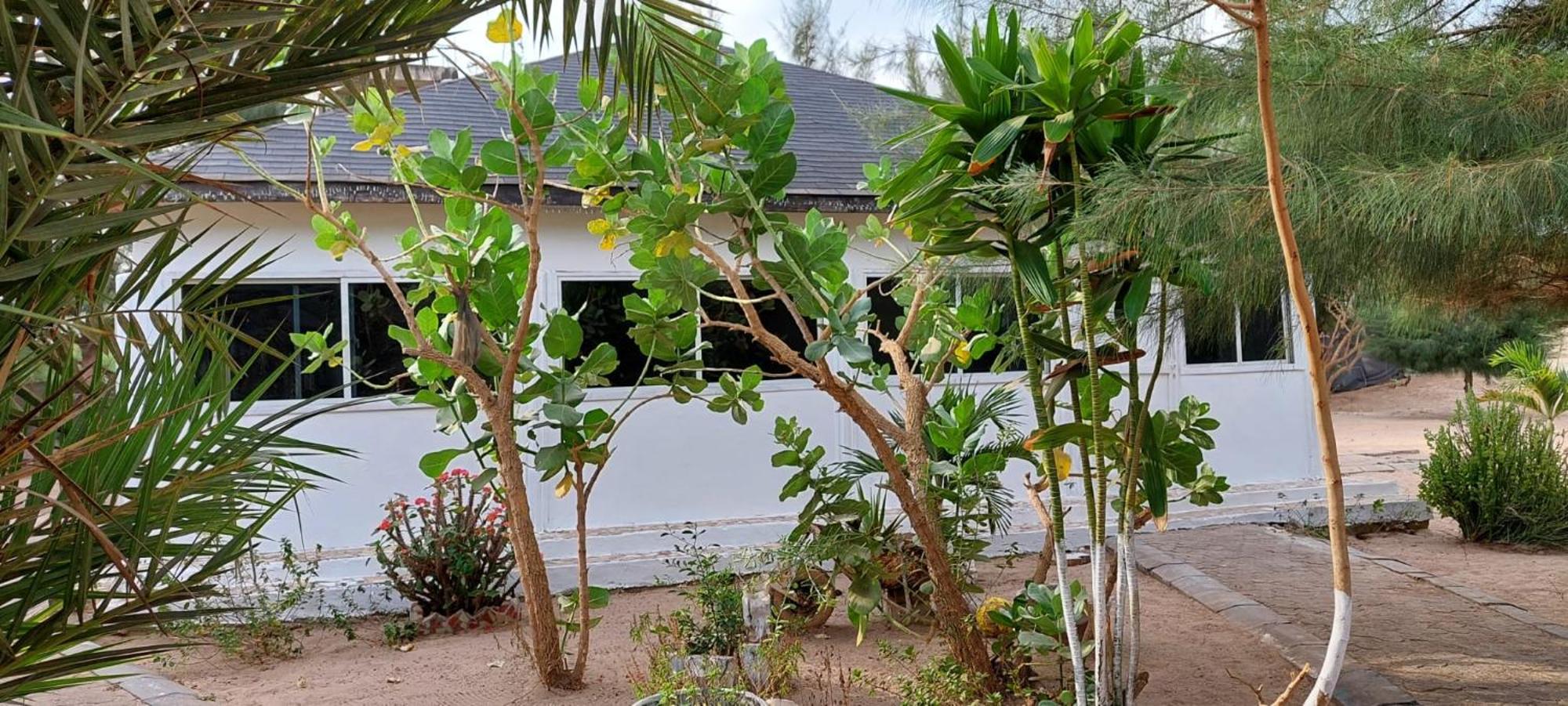 Mangrove Beach Sanyang Exteriör bild