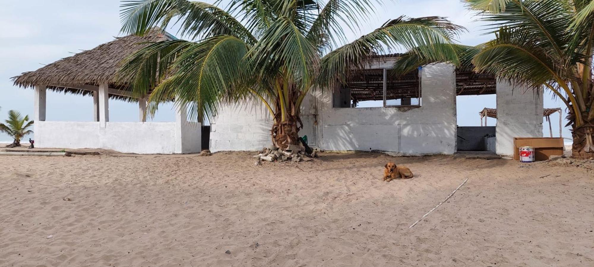 Mangrove Beach Sanyang Exteriör bild